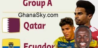 Qatar 2022 FIFA World Cup Group A