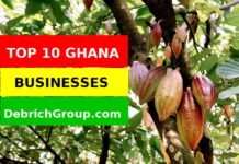 Top 10 Best Business To Do In Ghana, With Good Income