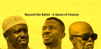 Actor Kwaku Manu, Beyond the Ballot