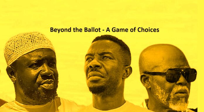 Actor Kwaku Manu, Beyond the Ballot