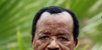 Paul Biya, Cameroon presidential election results