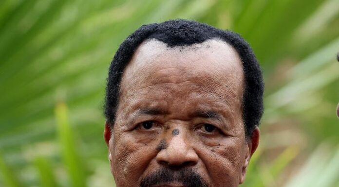 Paul Biya, Cameroon presidential election results