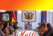 President John Mahama, Prof Henry Kwasi Prempeh, Ghana Constitutional Review Committee Report