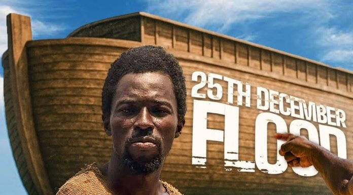 Ebo Noah, Ebo Building Massive Arks For Christmas flood