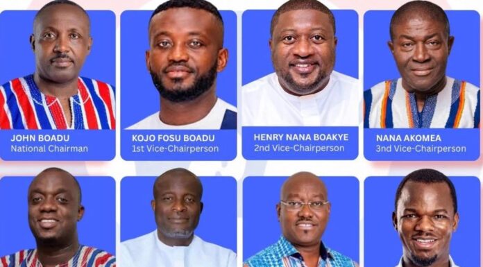 New Patriotic Party, NPP National Executive Elections 2026